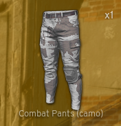 Combat Pants[camo]