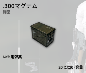 .300マグナム